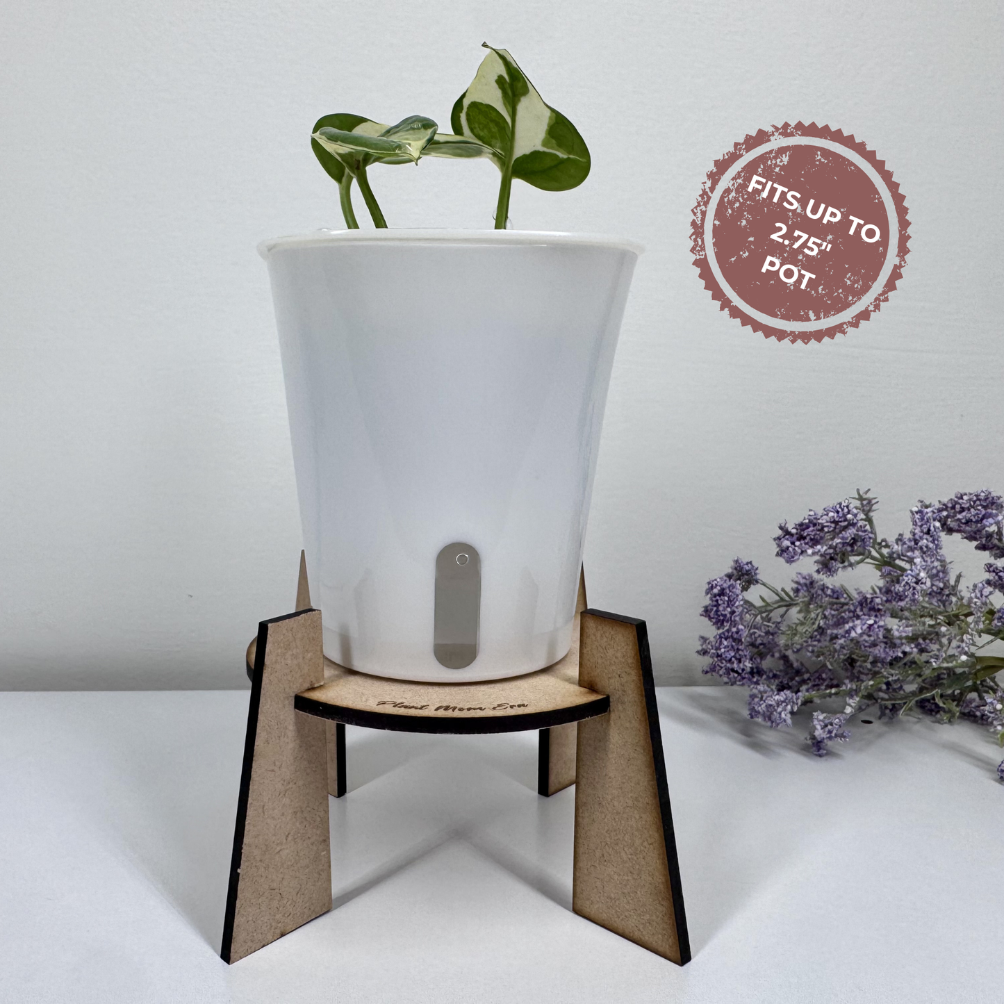 Mini Wooden Plant Stand | Cute Plant Display Riser