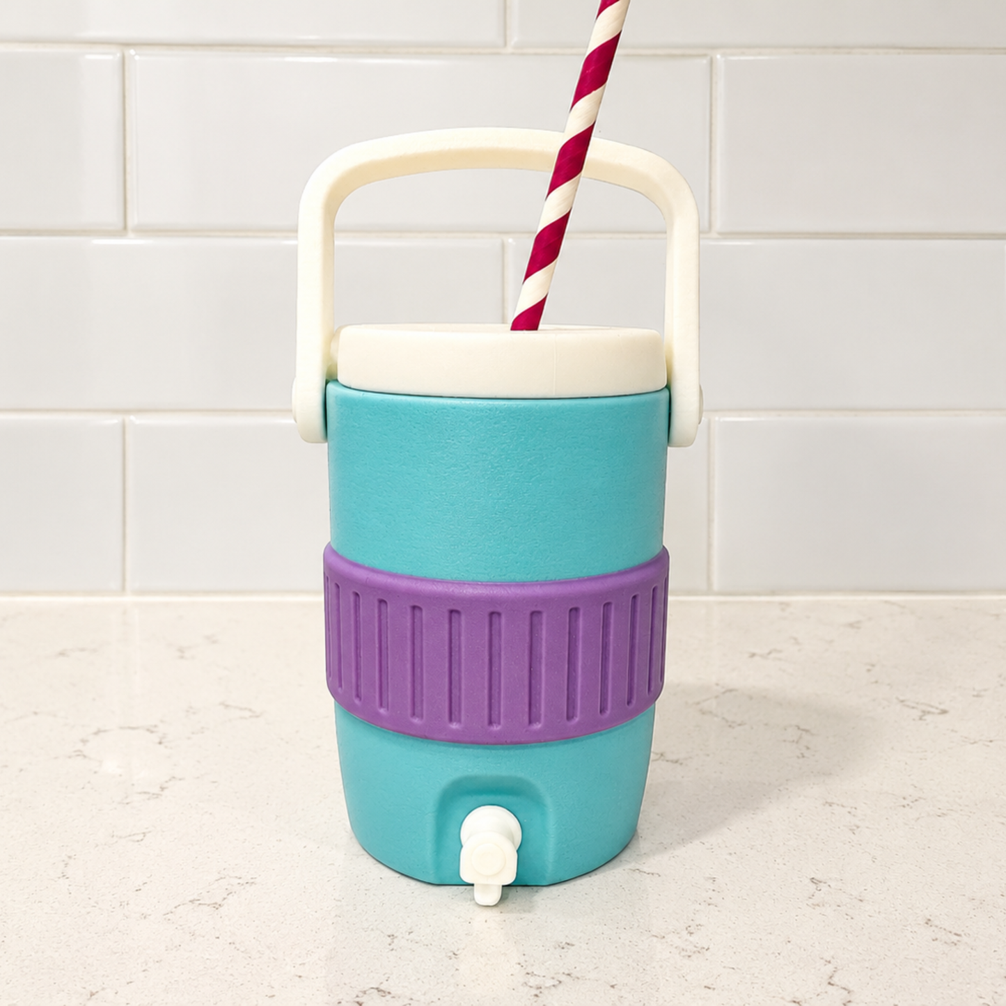 Mini Retro Cooler Can Holder for 12oz Cans