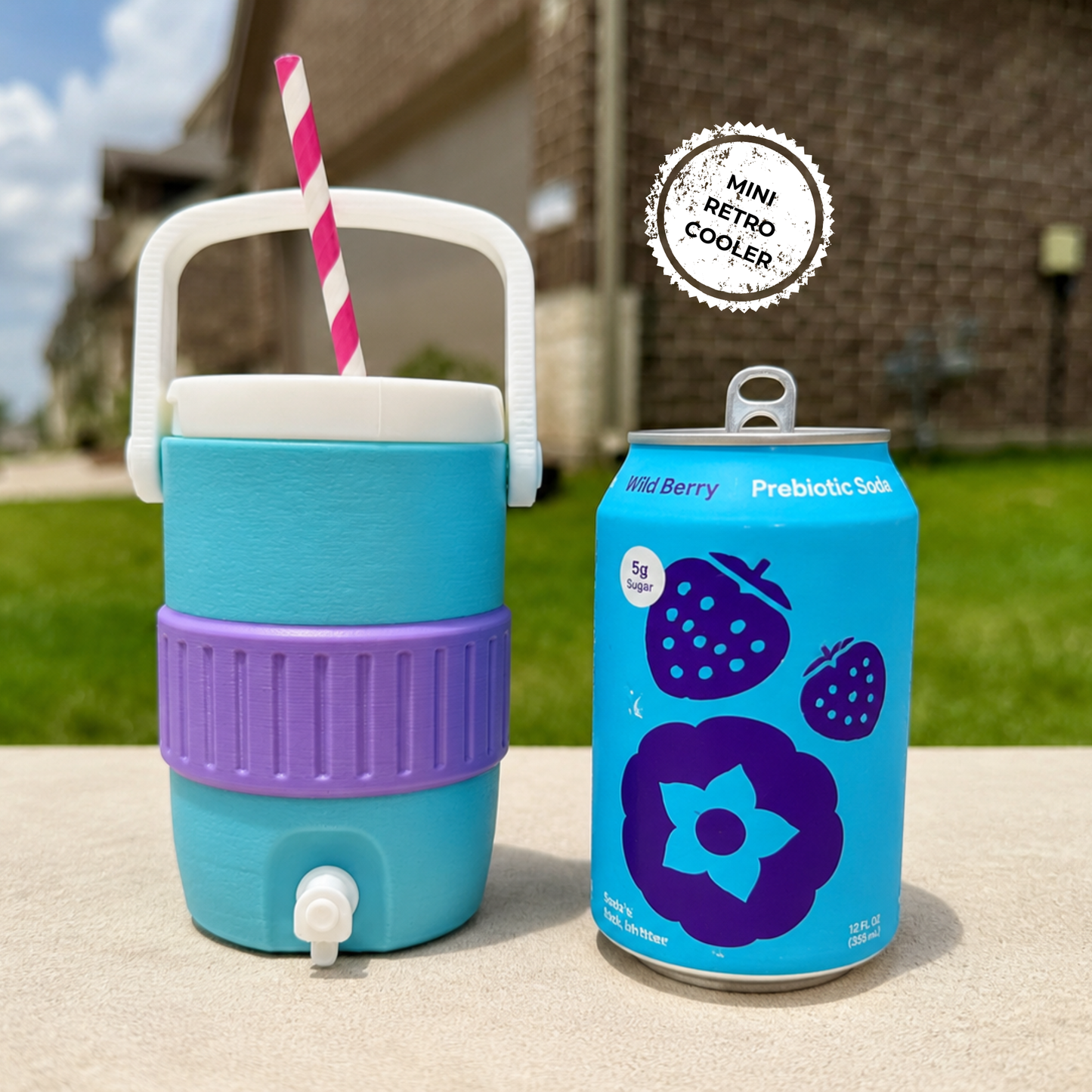 Mini Retro Cooler Can Holder for 12oz Cans